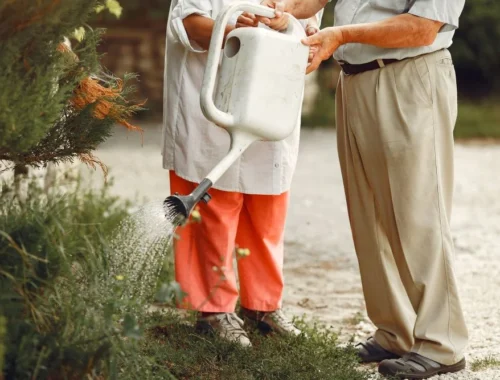 С 2026 года: какие коммунальные услуги на даче пенсионерам окажутся бесплатными? » Интересная Россия