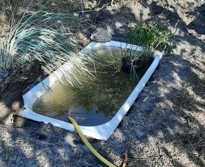 Прудик из ванны своими руками. Фото