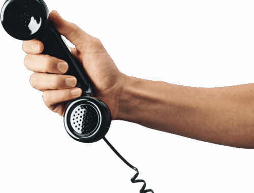 Химчистка салона после животных: как удалить шерсть, запахи и пятна | AMDplus