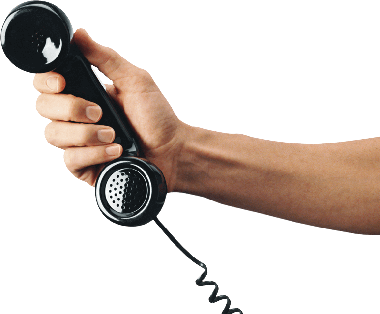 Химчистка салона после животных: как удалить шерсть, запахи и пятна | AMDplus